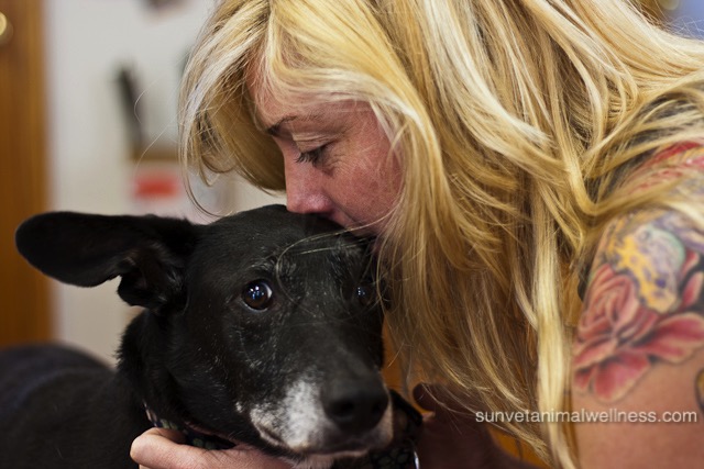 Asheville's holistic veterinarian