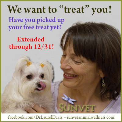 Pick up your free treat from Asheville's holistic vet!