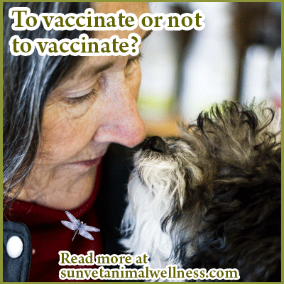 To vaccinate or not?