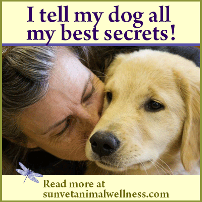 stories from holistic vet Dr. Laurel Davis: I tell my dog all my best secrets!