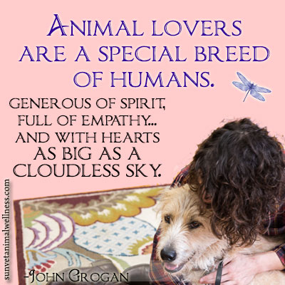 Animal Lovers Are A Special Breed Of Humans