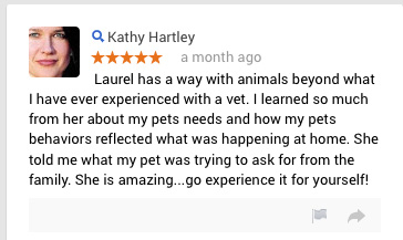 Kathy Hartley review of Dr. Laurel Davis