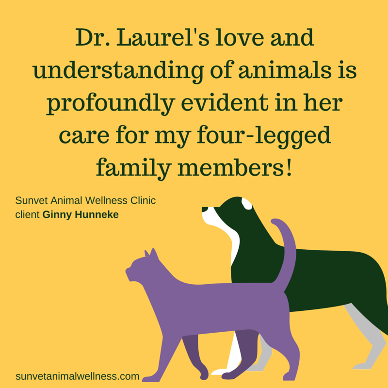 love-understanding-animals-dr-laurel-davis
