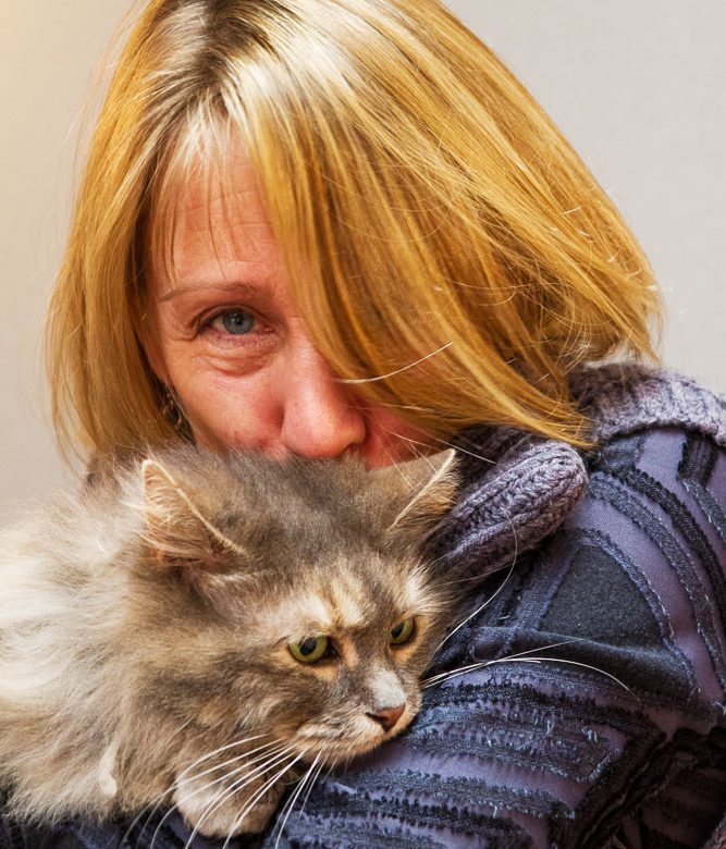dr-laurel-sunvet-cat-friendship