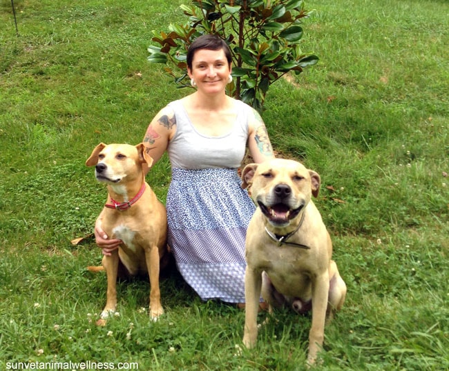 stacy vet technician asheville holistic vet dr laurel