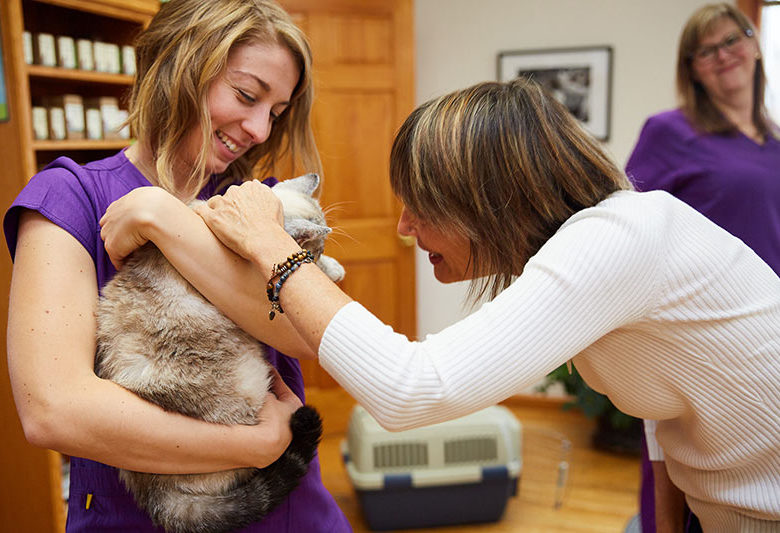 woman veterinarian and staff petting cat