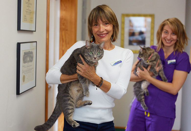 femal veterinarian holds cat
