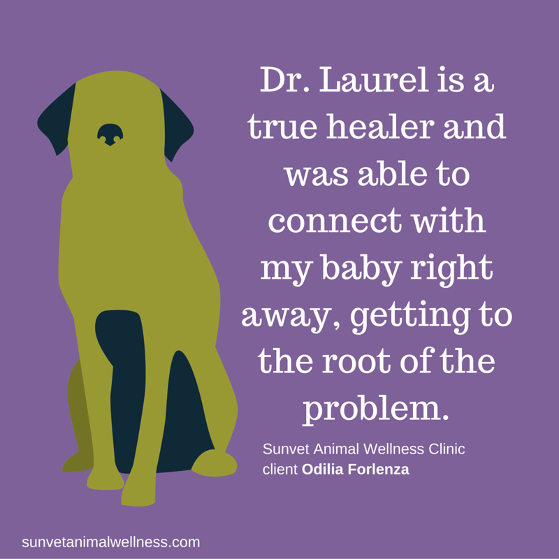 Dr. Laurel is a true healer and was able to connect with my baby right away getting to the root of the problem.