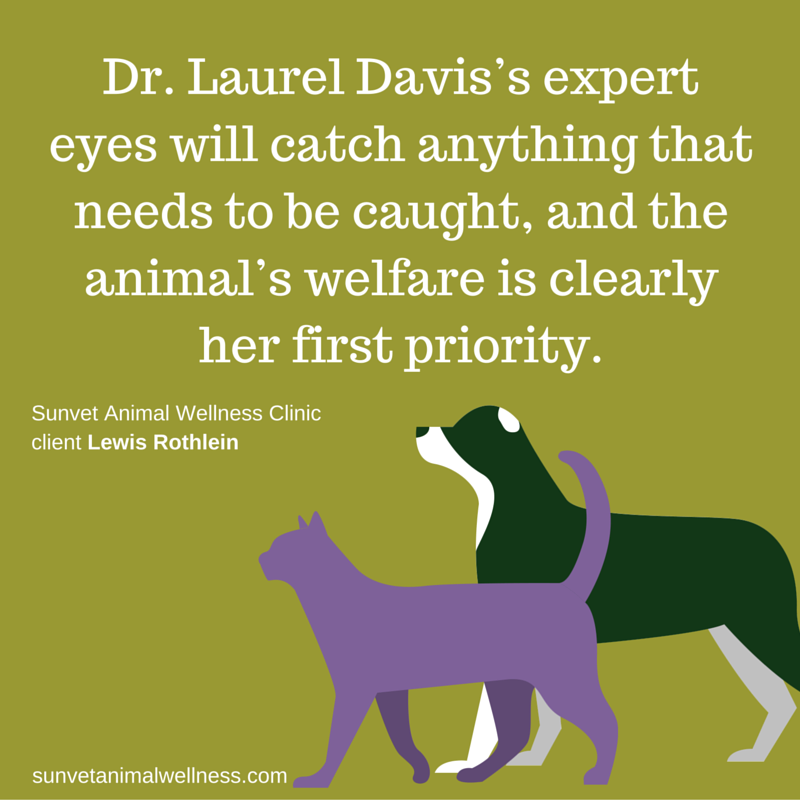 Dr-Laurel-Davis-animal-welfare