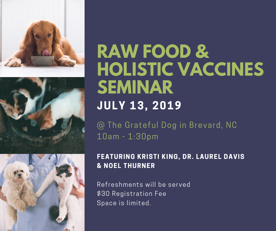 Raw Food & Holistic Vaccines Seminar