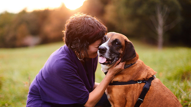 Learn to Say "Hello" to Your Animal Companion From Afar 1