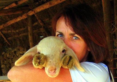 holistic vet office manager Jackie Austen