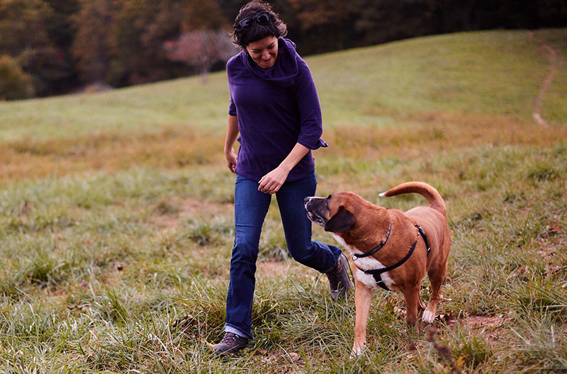 Woman and Dog walk together in a field