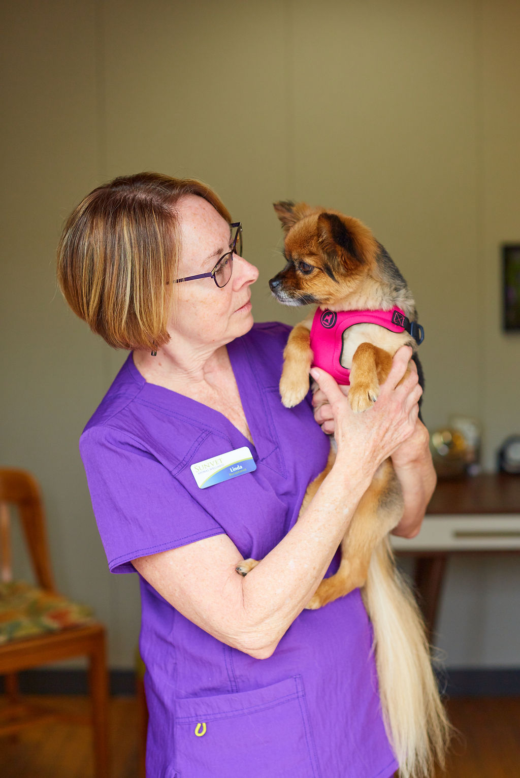 Meet the Sunvet Staff: An Interview With Linda Woodmansee 1