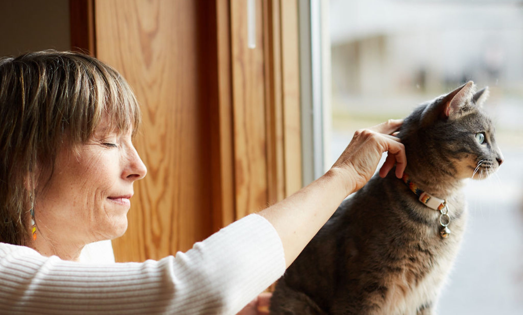 craniosacral therapy treatment on cat
