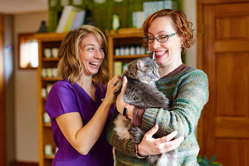 Two women pet cat while laughing