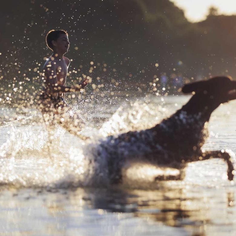 Boy in water with dog