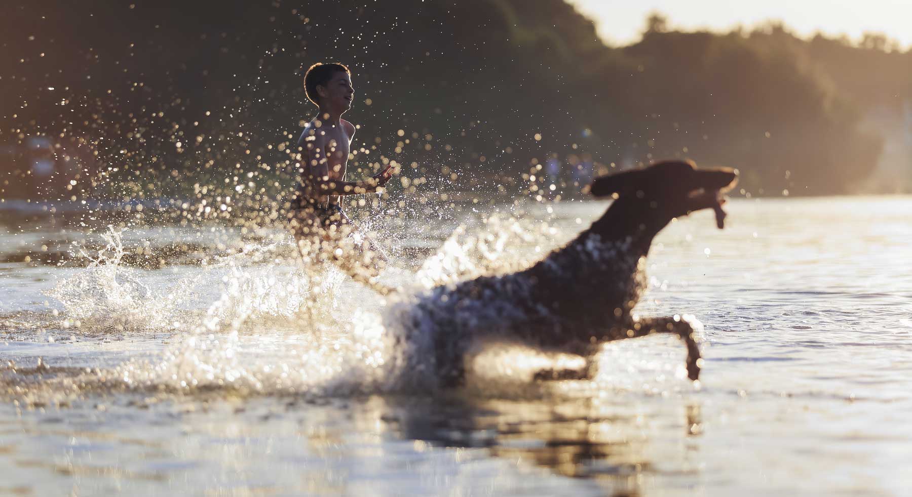 Boy running with dog in lake