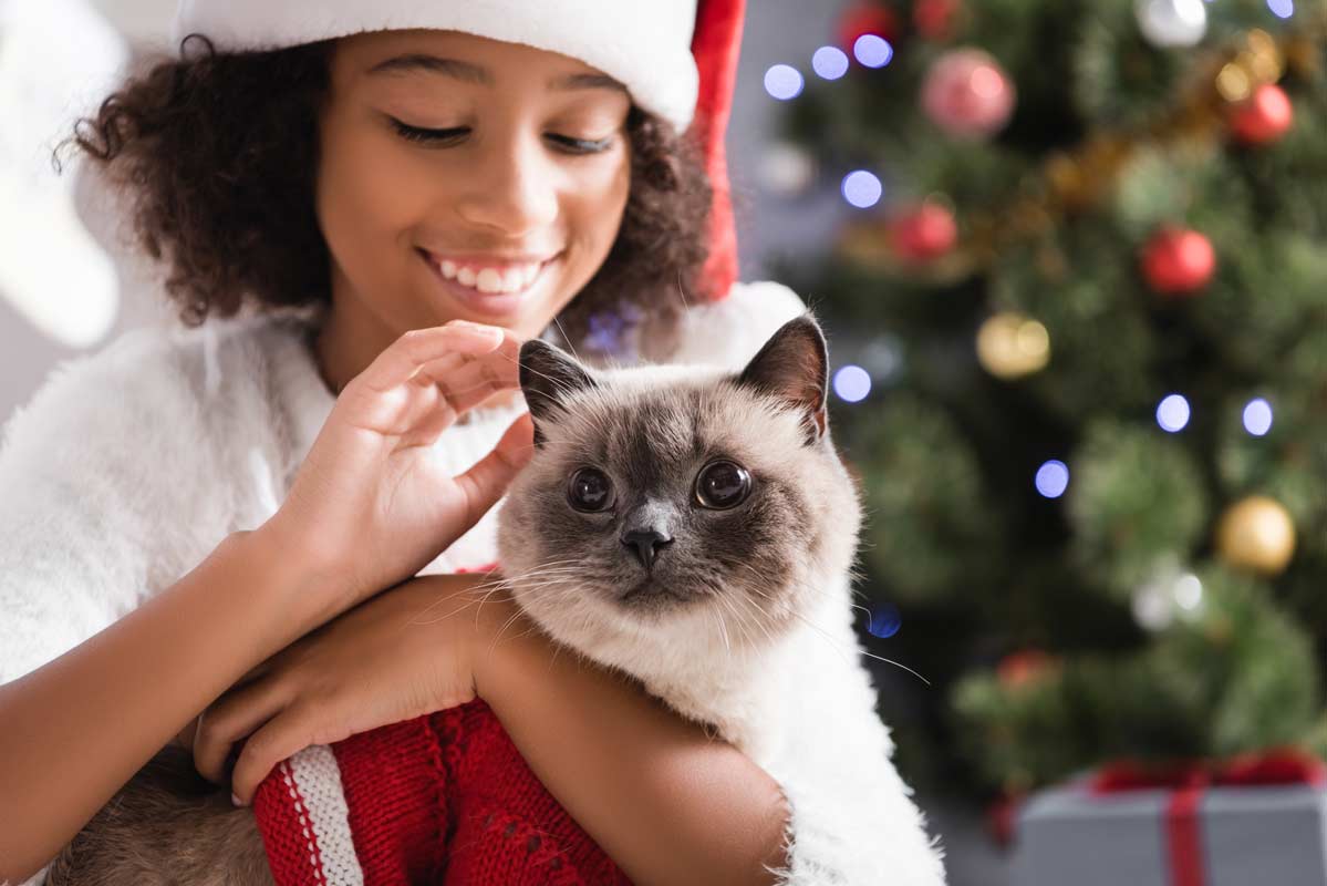 Holiday Traditions For You and Your Animal Friends 1