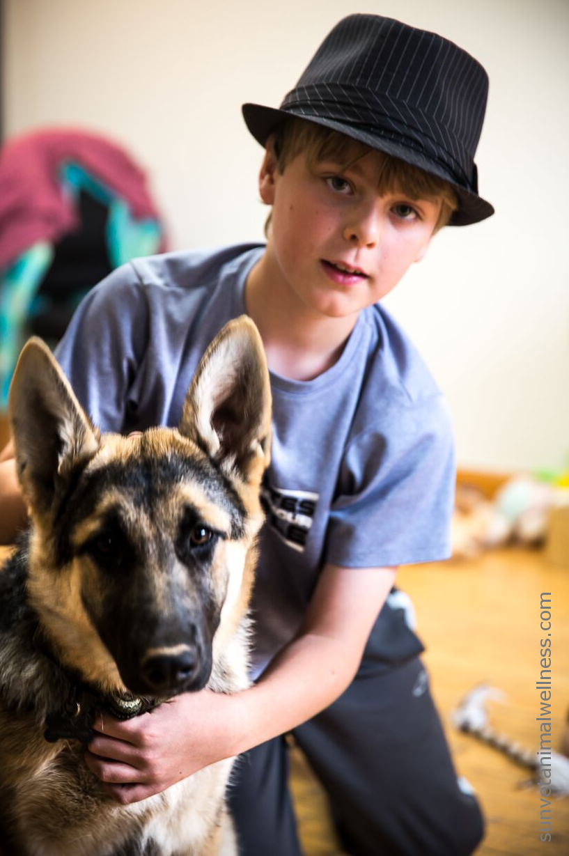 Kids And Animals, A Love Story! | Sunvet Animal Wellness