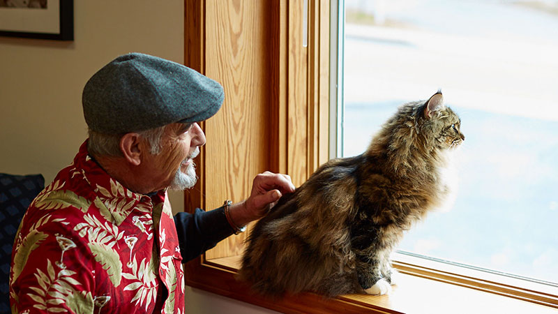 Man and cat look out window calmly