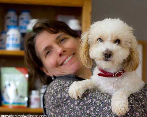 Asheville's homeopathic veterinarian