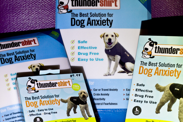 Thundershirt, recommended by Asheville's holistic veterinarian