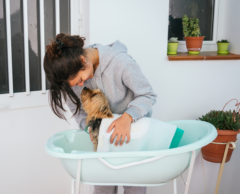 Woman giving her dog a bath outside in tub.